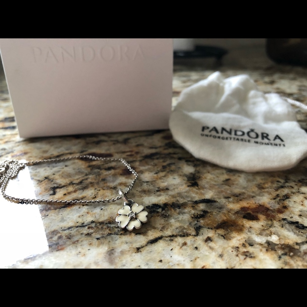Pandora Daisy necklace